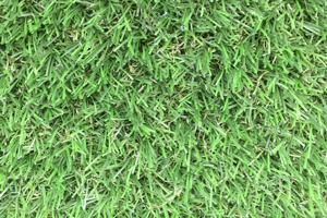 Artificial Grass