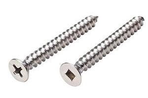 Stainless Steel Screws