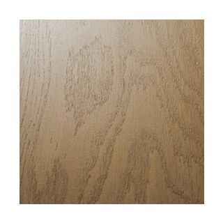 Mylands Earth Stain (Clay) 500ml