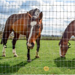 High Tensile Equine Horse Netting 50mt 1.1m high