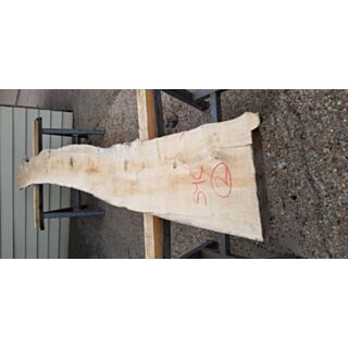 Sycamore Kiln Dried Waney Edge Board - 50mm x 290/220mm x 3500mm