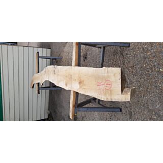 Sycamore Kiln Dried Waney Edge Board - 50mm x 320/200mm x 3900mm