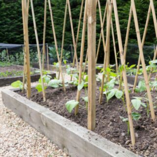 Single Height Softwood Treated Garden Sleeper Raised Bed Kit