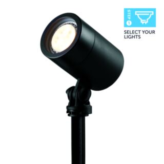 Ellumière Black Spotlight - Small