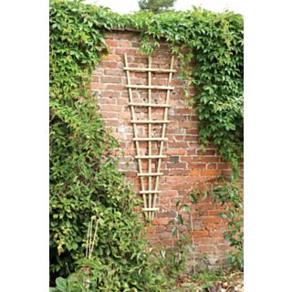 Forest Traditional Fan Trellis 1800 x 600mm