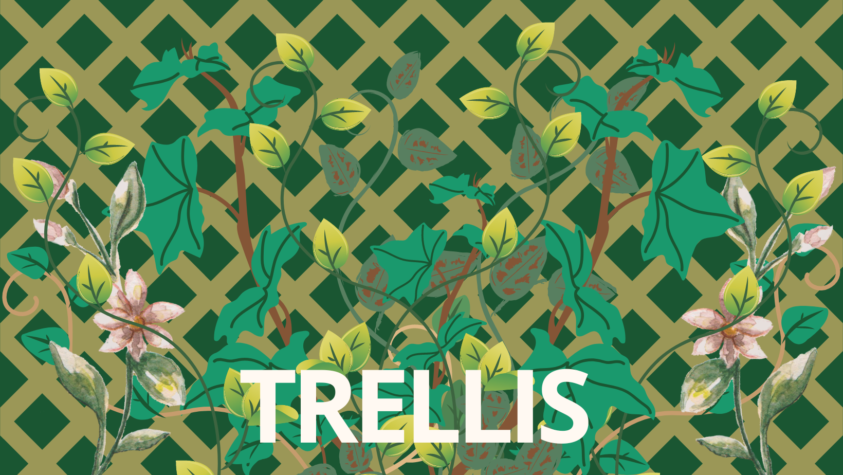 Trellis: The Missing Puzzle Piece to Transform Your Outdoor Space